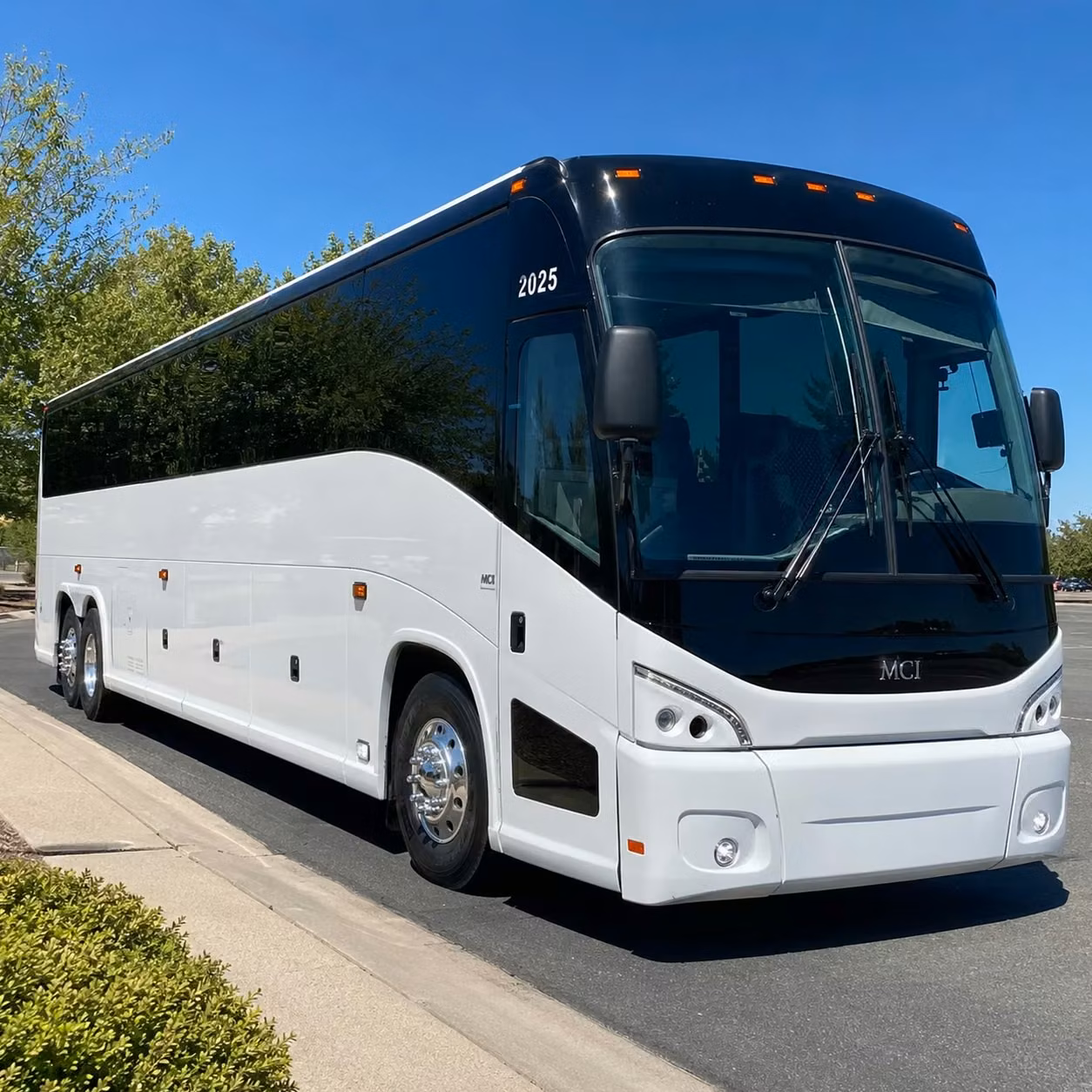 wedding guests school groups and reunions hayward long distance transportation for every occasion